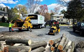 Best Tree Disease Treatment  in Cornwall, PA